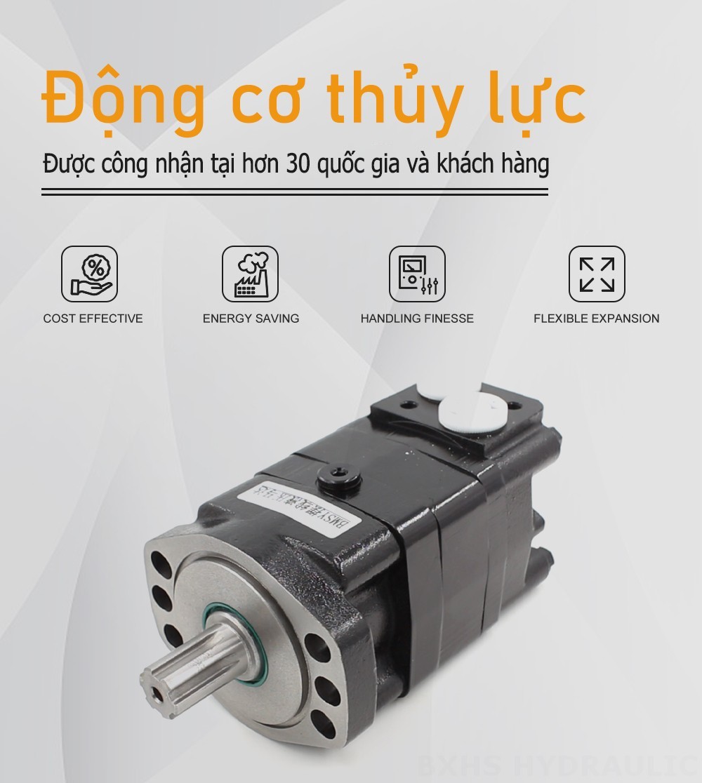 Mô-tơ thủy lực Cycloid BMSY 100 cc/vòng 50 L/phút Mô tơ thủy lực